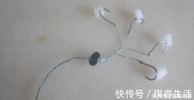 钓友|泡沫饵加点“它”,鲫鱼鲤鱼好钓到怀疑人生!