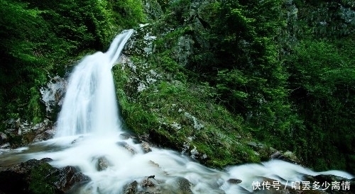 踏莎行|这几首诗词都是惜时，唯有苏东坡的最出名