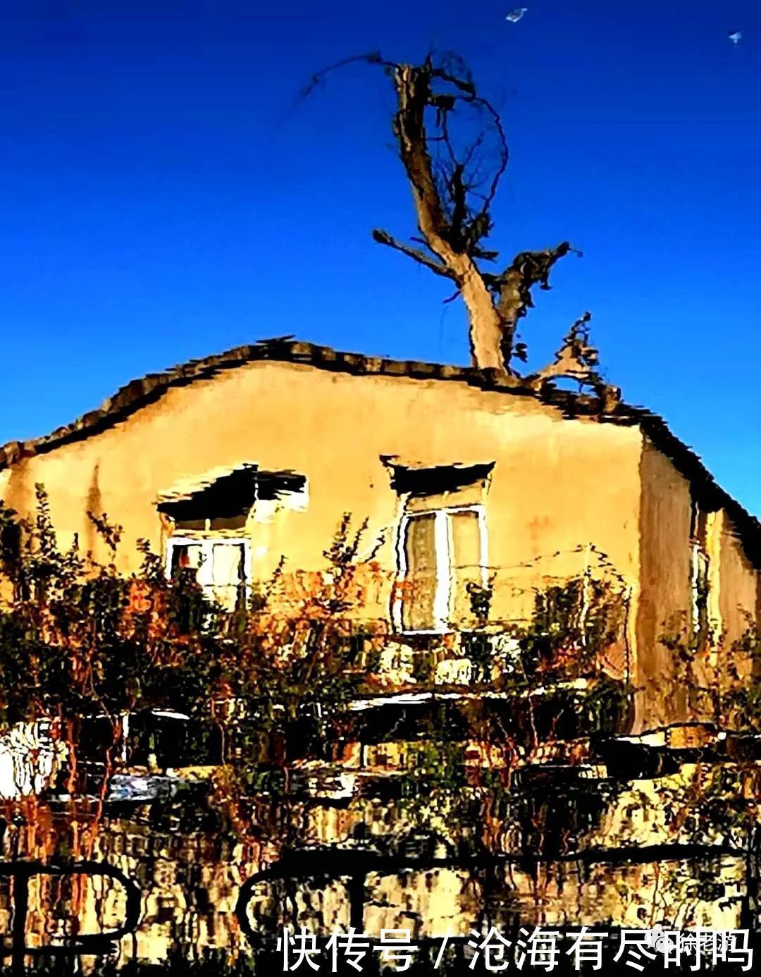 潮汕毒药,吃货天堂的美食江湖