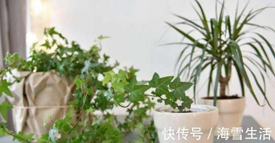 还在按天给花浇水？那你的花离死不远了