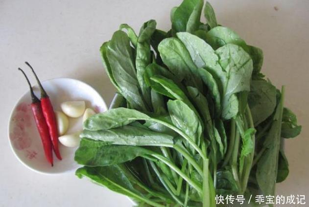 此菜几毛钱一大捆，但竟没人愿意卖，不仅补钙、护目还能防癌！