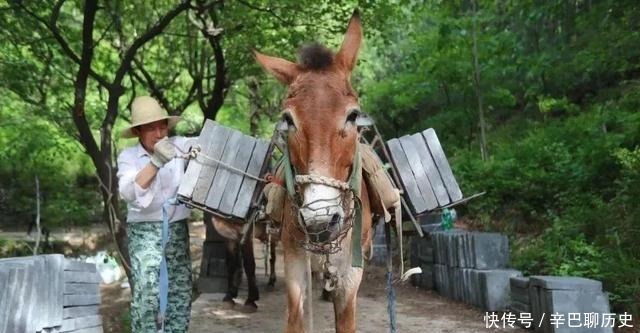 文化遗产|「长城文化带」喜讯!箭扣东段长城修缮工程顺利通过竣工验收