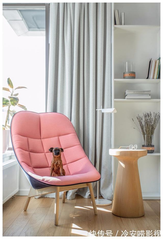 灰衣柜|250㎡,一家五口的梦幻游乐园,极简与色彩的完美碰撞!