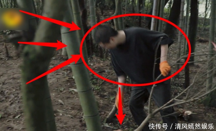 李诞|《向往5》最懒嘉宾又来了,在节目种树种到“吐”,脾气都上来了!