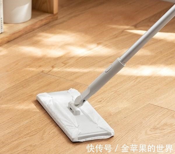 屋里两三天没有打扫就会出现很多“毛毛”，这是怎么一回事！