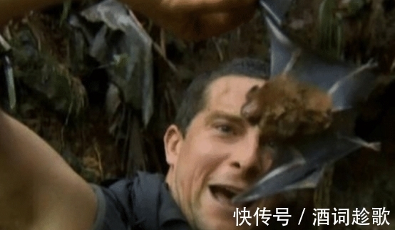 蝙蝠肉能吃嗎？其實貝爺在十一年前就告訴我們了，一起來看看吧