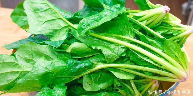 翠绿|做菠菜要不要焯水很多人都做错了,教你正确吃法,翠绿爽口营养