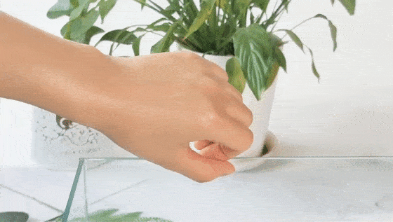 化妆品效果如何，你可以用几个小技巧“亲测”直观看到