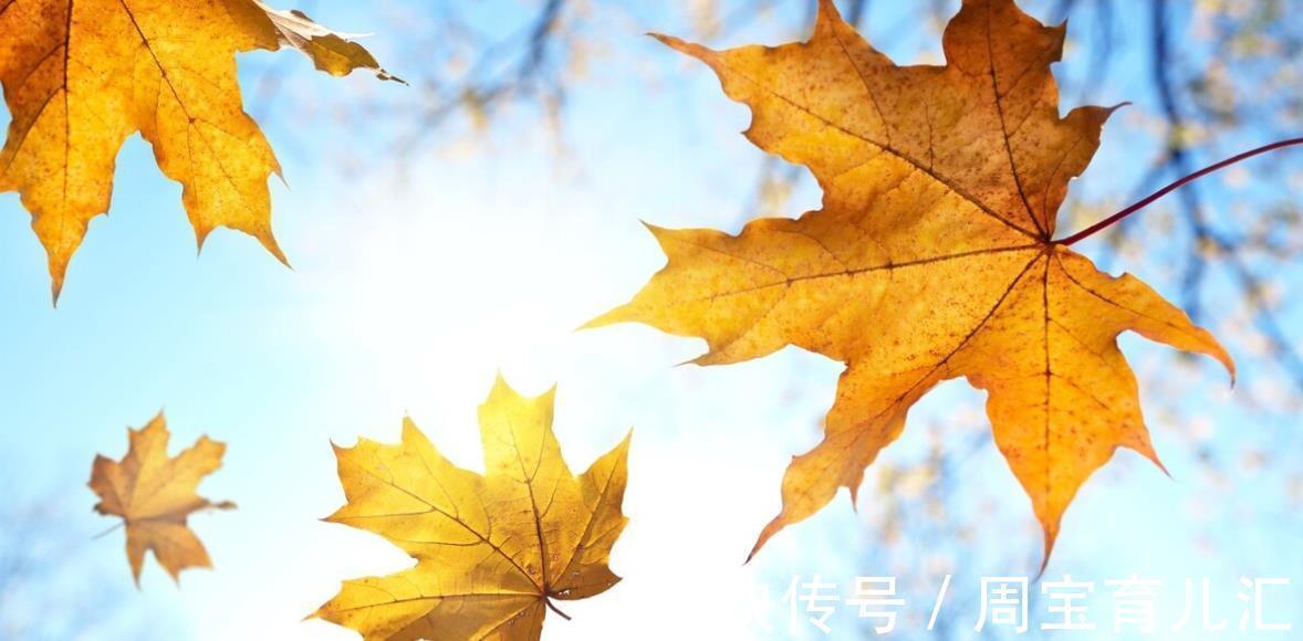 尿液|尿中有泡沫了,就是糖尿病肾病吗?不一定,还有这些原因