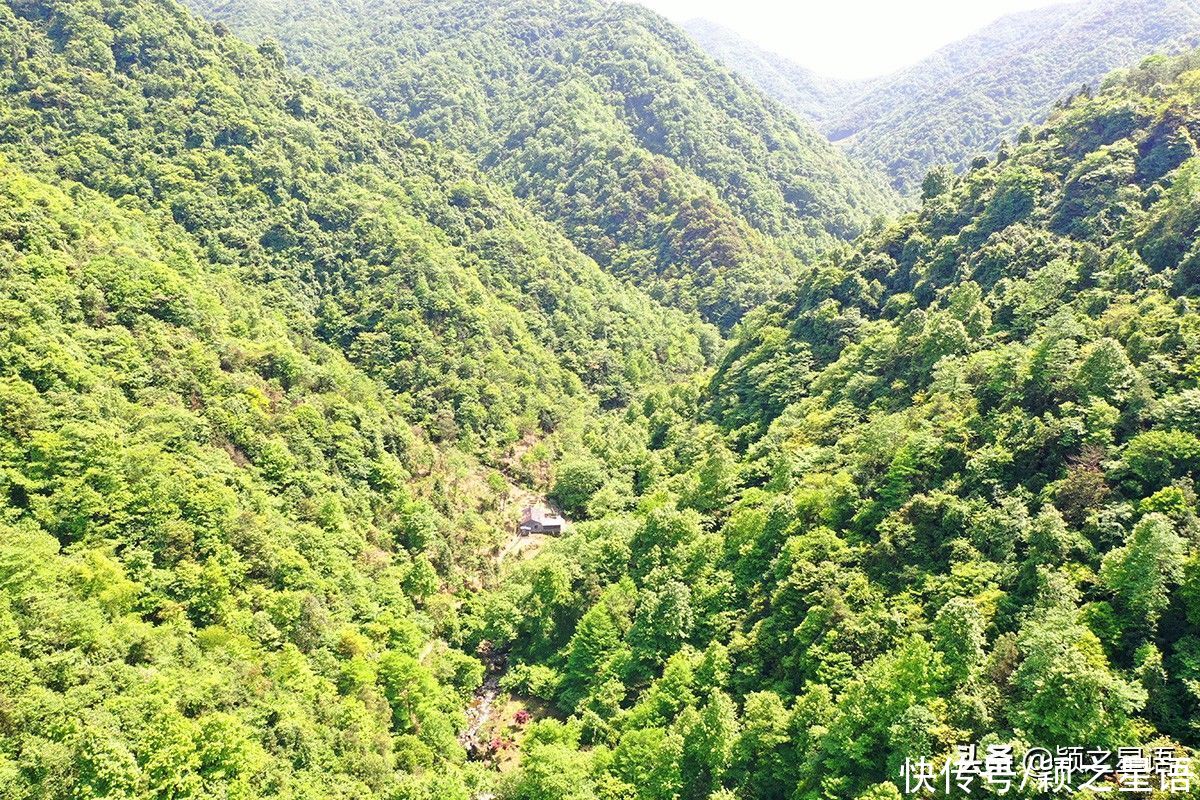 发酵|新时代的隐居生活，住城里钱不够花，隐居深山没处花钱