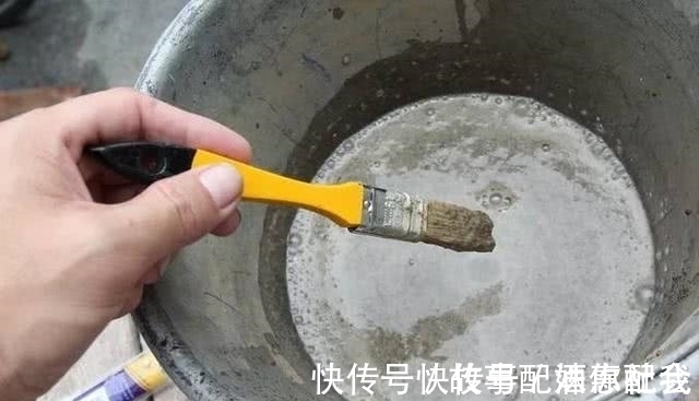 啤酒!他用酸奶、啤酒、苔藓把动物养在墙上,14天后的画面让人惊讶