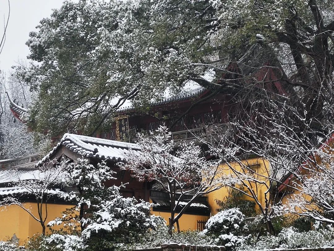 雨雪|此刻的杭州，太美了吧！