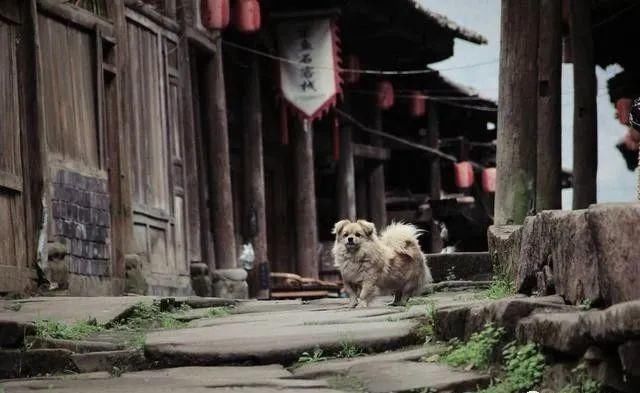 古镇|雅安境内有座未被开发的古镇，古朴宁静，极具原生态