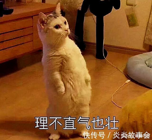患者|这几款App，社恐患者必备