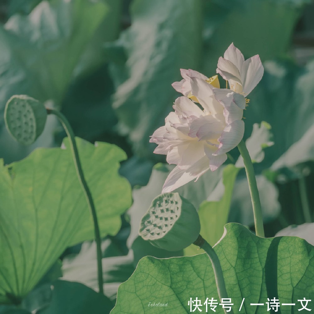 永远|你是我的特例,是我永远的太阳