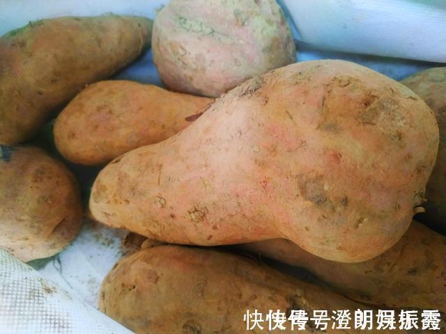 父亲|保存红薯，70岁的父亲教我1个土方法，红薯经久耐放，越放越甜