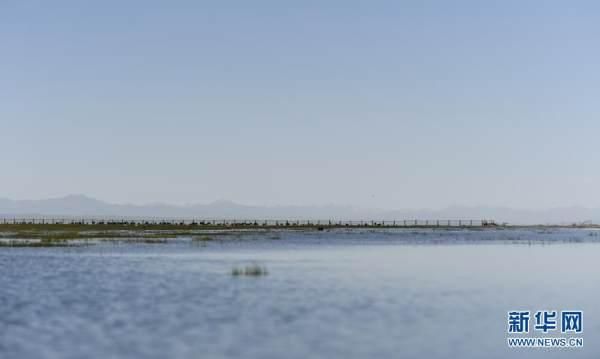 仙女湾景区|冰与风与鸟，这才是青海湖最美的打开方式！
