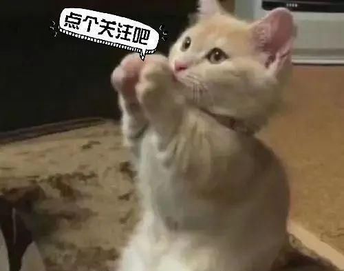  传奇|四本点击神级小说破亿，辰东垄断三本，传奇值得成为传奇