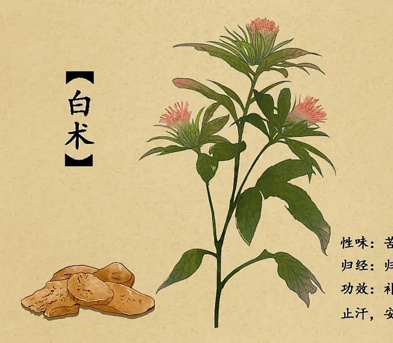 黄芪|中医防疫有妙招，嵊州市中医院推出防疫方和香囊