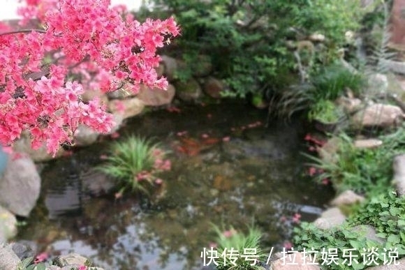 园林$他花3年打造中式庭院,不花钱全靠捡破烂,完工后专家估价百万!