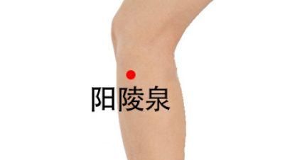  引血|膝盖，人体中转站！只需2招，祛寒止痛、引血下行，激活全身气血