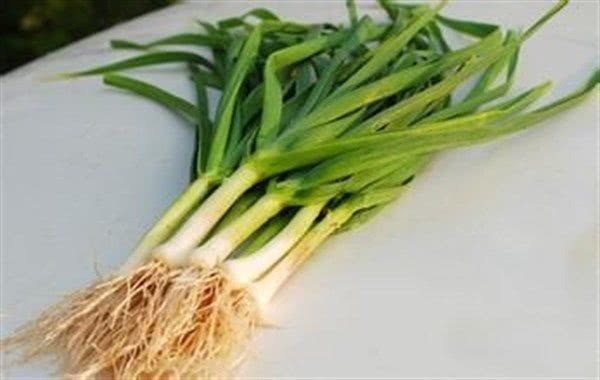 早衰|女人不愿早衰,不妨常吃3种食物,美容排毒、抗衰老,早吃早好