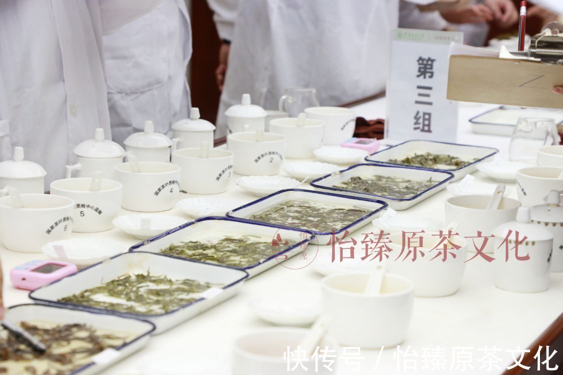 评语|绿茶科普：喝茶时常用到的评茶术语，爱茶人必备知识