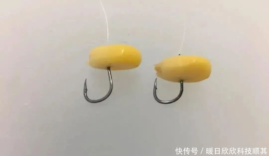 钩型|玉米如何挂钩命中率更高?挂钩方法并不重要,鱼钩才是重点!