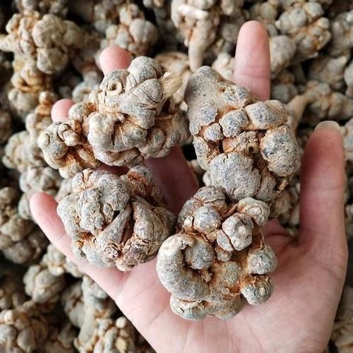 副作用|哪些中药可以长期饮用?哪些会给身体带来负担?本文带你了解