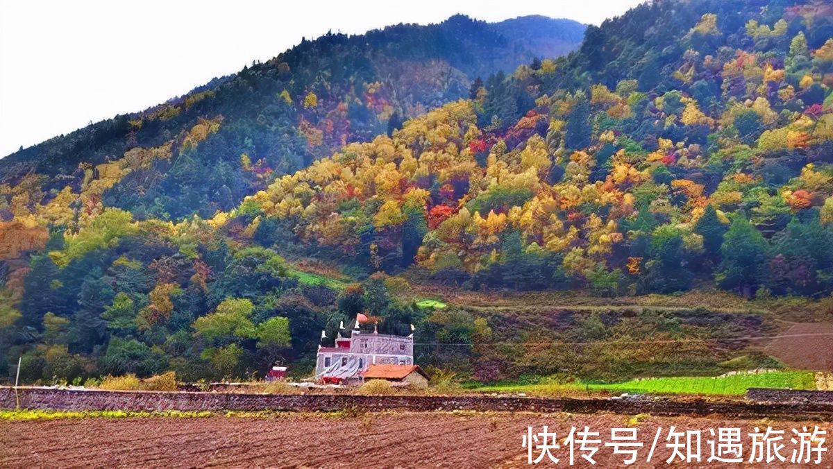 红叶|10月，国内这9个地方藏着最美的秋色，千万不能错过