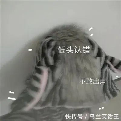 |搞笑表情包|爸爸!