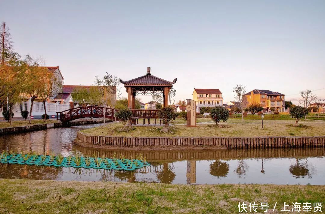 四团这个村获评“最美宅基”,美不美,看图!