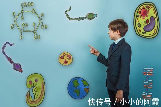 男孩|儿科医生的无奈，值班两天没看到一个女孩，生儿子的妈妈要担忧了