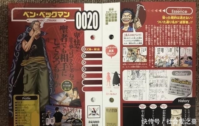 贝克曼|海贼王 尾田确认贝克曼四皇实力, 顶上战争中黄猿投降并非偶然