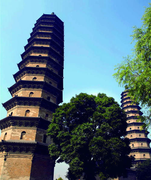 土堂怪柏|逛山西太原 打卡古晋阳八景