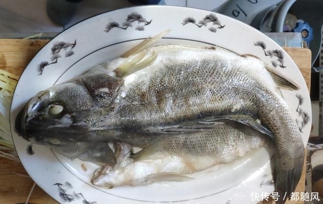 鲈鱼|想吃鱼没有时间做,馋鱼香不会做,试试家常清蒸鲈鱼,就能满足你