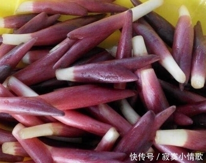农村|这个植物一般长在农村,出口日本成抗癌佳品,做菜非常棒!