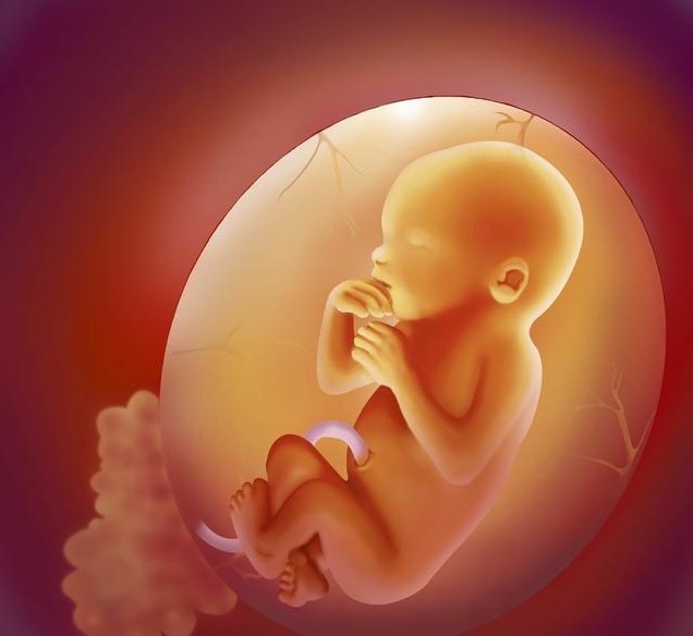 胎儿在子宫内，怎么吃喝拉撒睡6个有趣的胎儿小知识，涨见识！