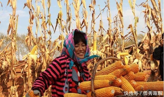 家庭|古语“吃十穿八,嫖空赌半”,有依据吗?专家:现代依然适用