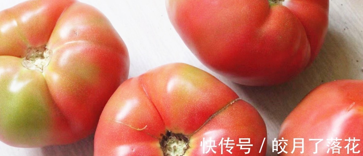没人告诉你“激素西红柿”长啥样,今天和大家说说,记得告诉家人!