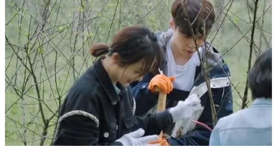 现实|杨紫一人录三期，11个小艺人录一期，《向往》揭露红与不红的现实