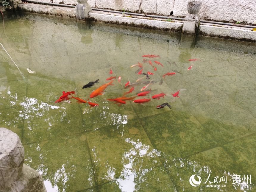 王守仁|贵阳阳明祠：游览心学圣地 丰富精神文化