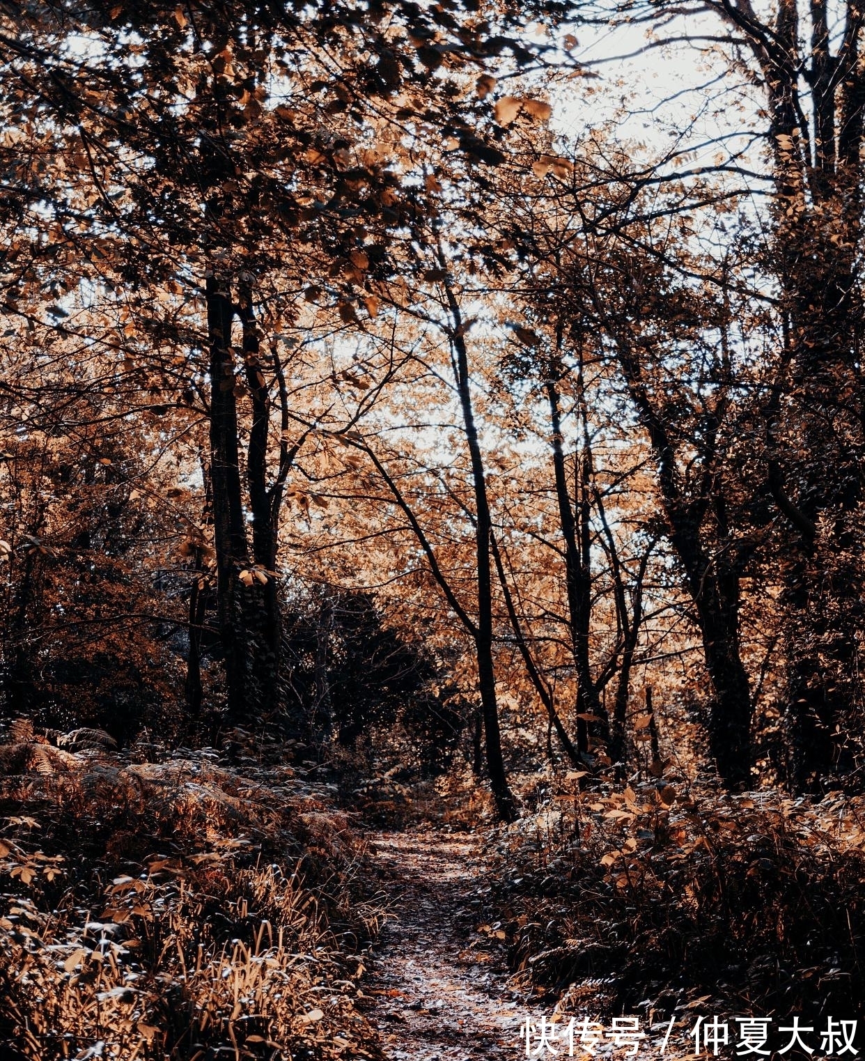 云从龙$10句流传很广的民俗谚语,句句大白话,却讲出基本的为人处世道理