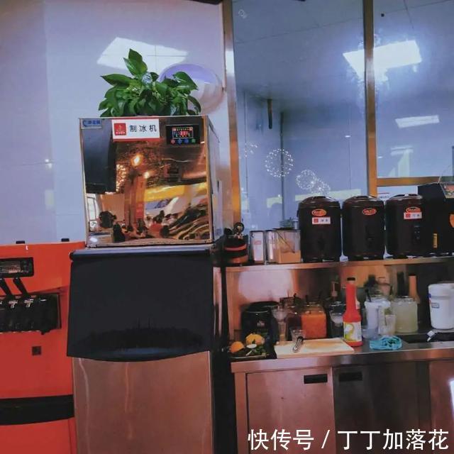 生意|秋天的第N+1杯奶茶,校园奶茶店生意都很红火