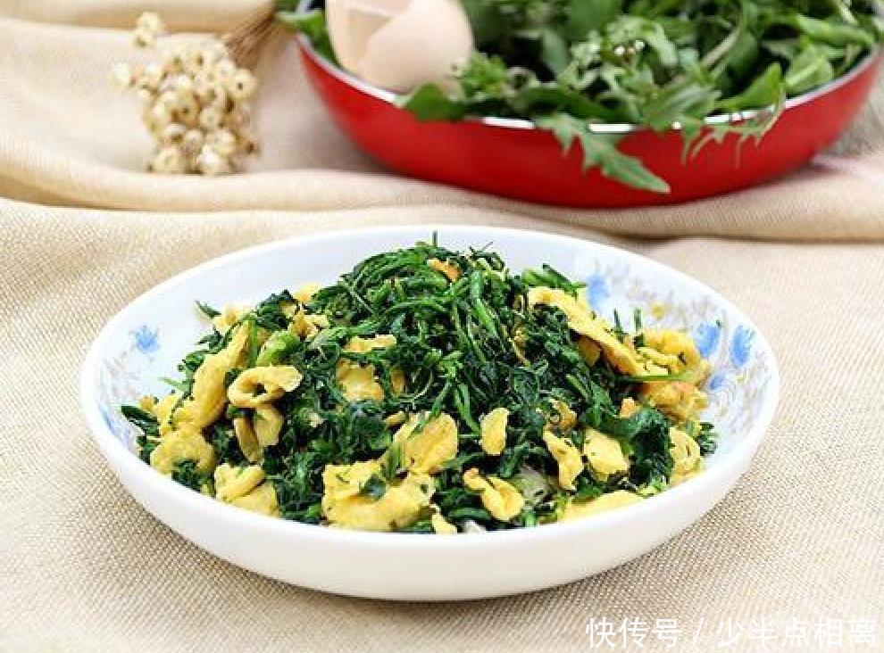 泥胡菜|老辈人当宝的泥胡菜,宁可不吃肉也要吃的野菜,你是不是当草了