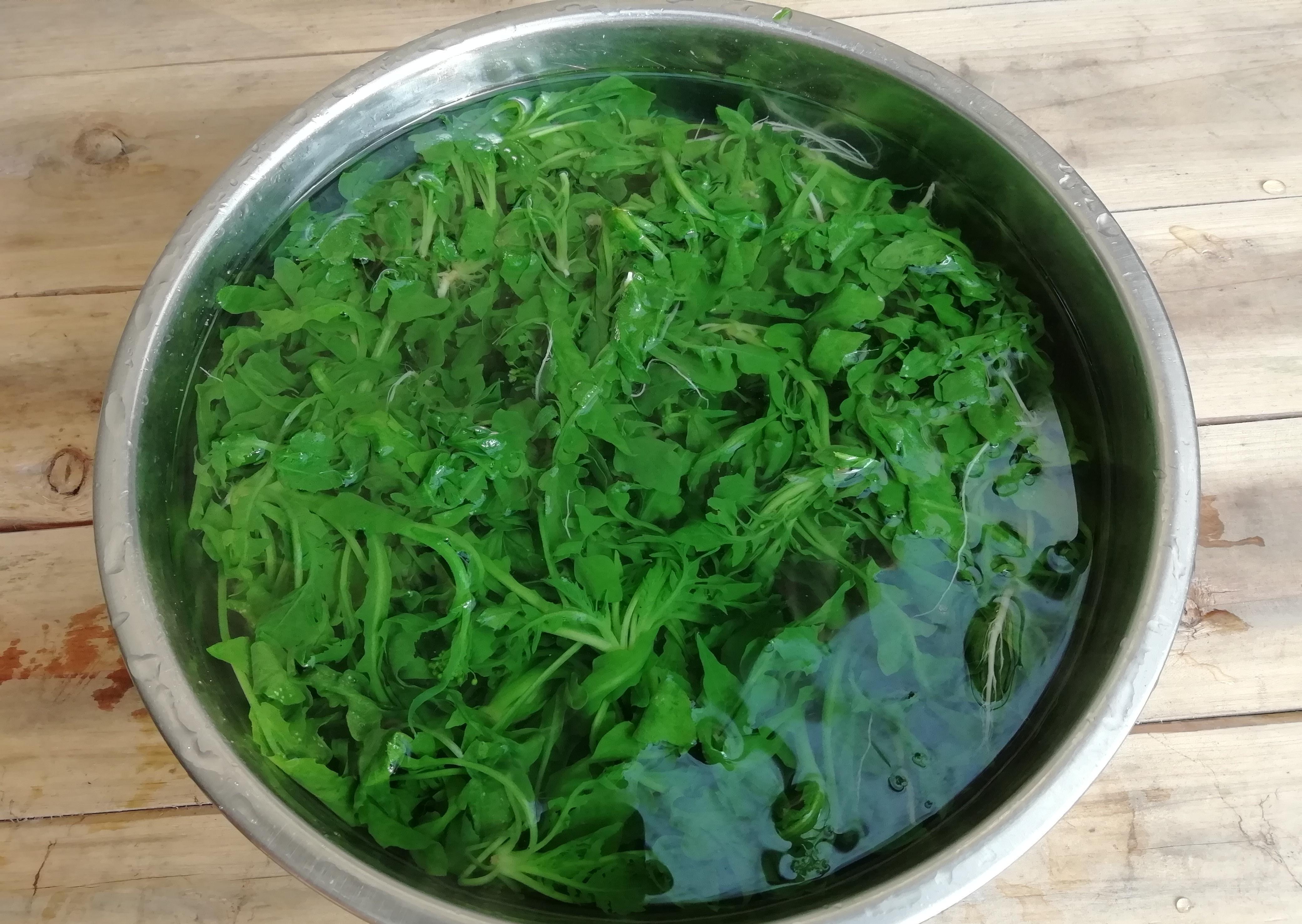 秋季，吃白菜不如吃此菜，多买些焯水放冰箱保存，随吃随取特省事