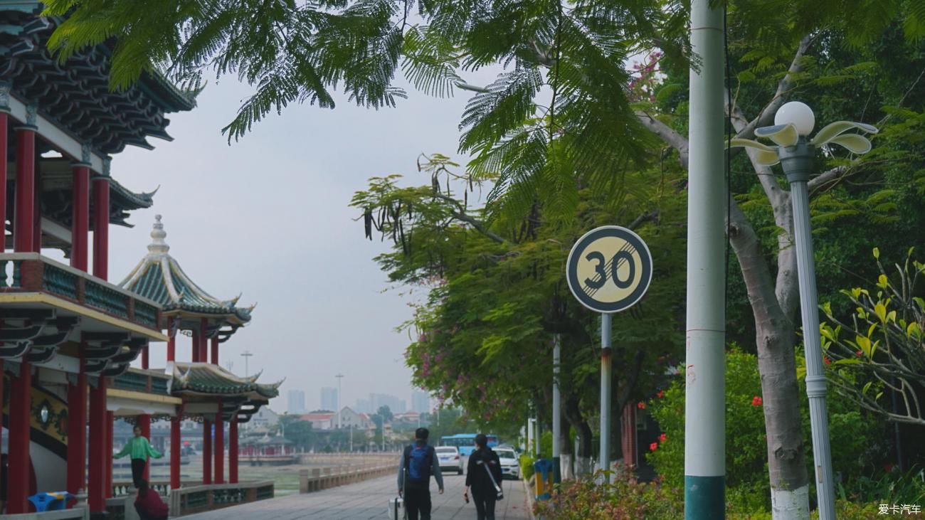 景宁|厦门属于我们的美好时光