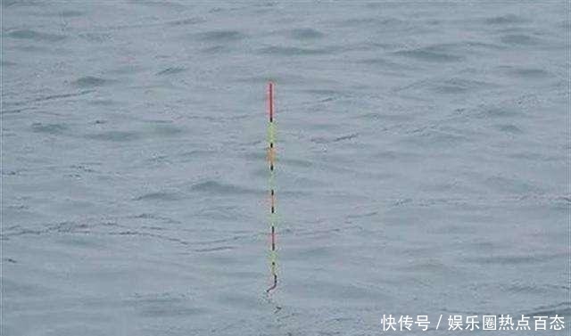 到底|一半钓鱼人还不知,秋钓出现这3种情况,说明找底出了问题!