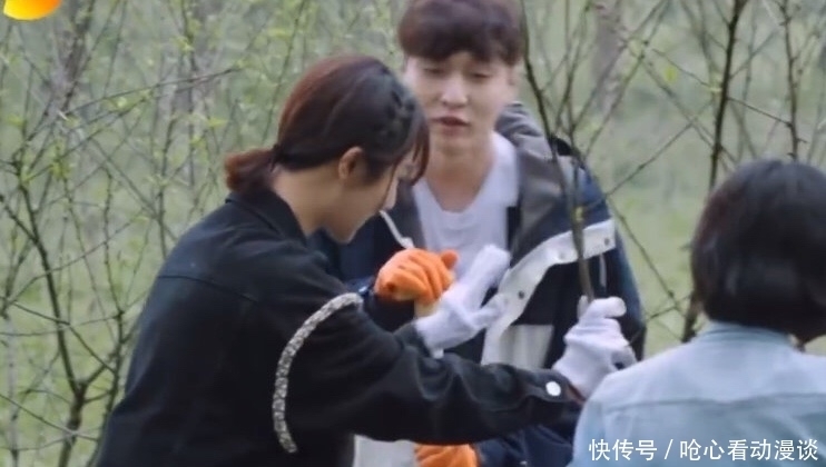 向往5 《向往5》收视率再超《奔跑吧》,杨紫张艺兴辟谣恋情贡献高热度