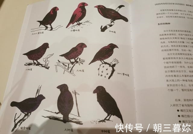 阅读|与孩子一起阅读这本书，学伟人的科学思维，让小小科学家茁壮成长